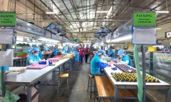 'Ông lớn' xe công nghệ đồng loạt báo lỗ lớn