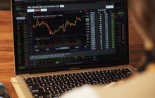 Tập đoàn Hoa Sen, GELEX lên tiếng về tin bị xử lý về phát hành trái phiếu