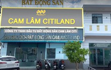 Kinh doanh không báo cáo, 3 doanh nghiệp bị phạt đến hơn 400 triệu đồng