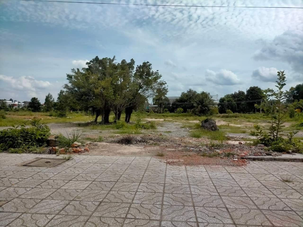 Tây Ninh: Vì đất, đánh mất tình thân