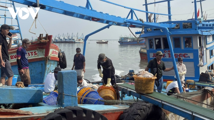 Xăng dầu giảm giá, ngư dân vẫn ngại ra khơi