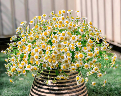 Tử vi hàng ngày - Thứ Năm 21/7/2022 của 12 cung hoàng đạo