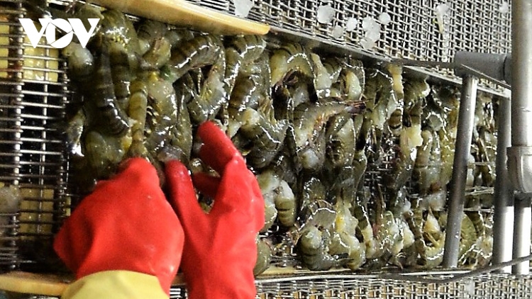 Mỹ tiếp tục là thị trường xuất khẩu nông thủy sản lớn nhất của Việt Nam