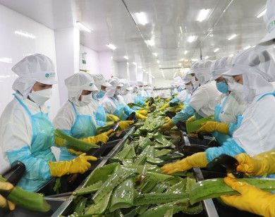 GC Food chính thức gia nhập thị trường chứng khoán