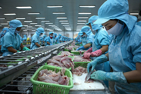 Bán tôm cá thu về 10 tỷ USD, hàng loạt kỷ lục lịch sử được thiết lập