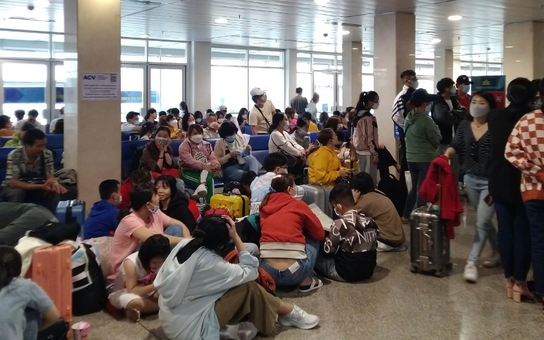 Ngán ngẩm, vạ vật vì