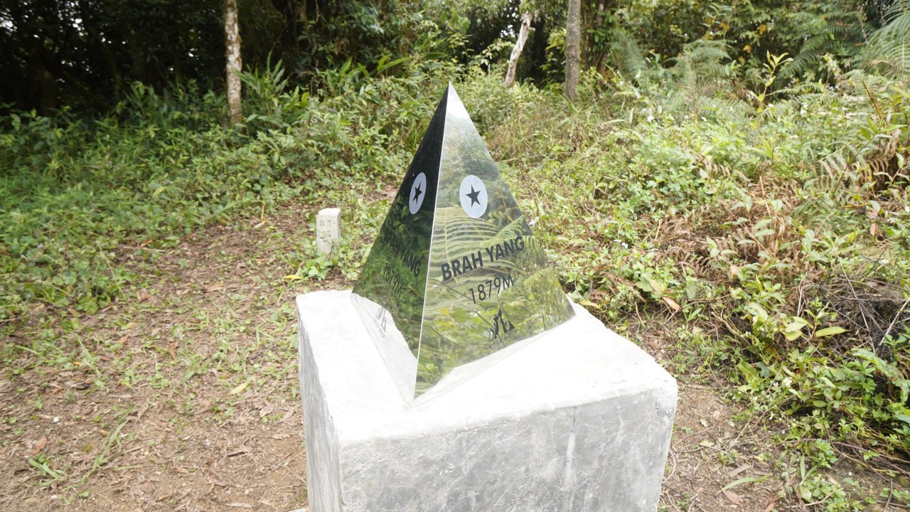 Núi thiêng có loài 'đa bóp cổ' ở cao nguyên Di Linh