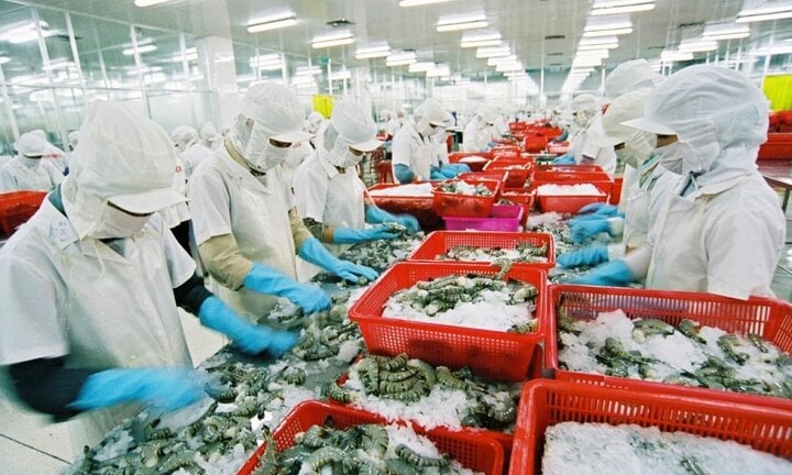 Các đại siêu thị ở Mỹ La tinh đang đến Việt Nam mua quần áo, giày dép, thực phẩm