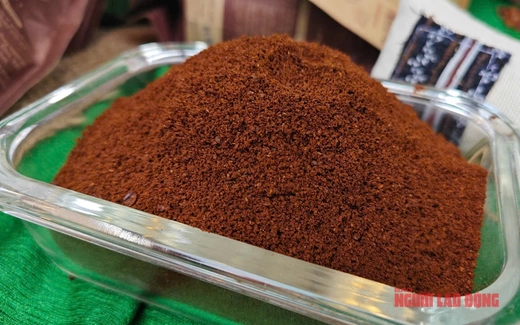 Giá cà phê hôm nay 24-3: Khối ngoại trở lại
