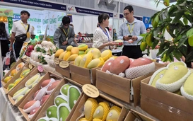 Xuất khẩu rau quả: Phải tính đường dài