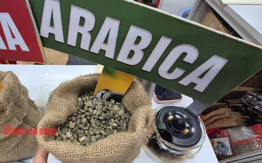 Giá cà phê hôm nay 25-4: Arabica