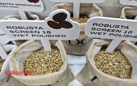 Giá cà phê hôm nay 22-5: Vua xuất khẩu cà phê bị