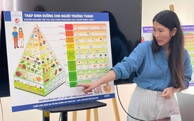 Dinh dưỡng phù hợp từng giai đoạn cuộc đời