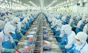 Xuất khẩu thủy sản tăng mạnh, VASEP vẫn lo thuế đối ứng