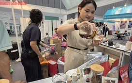 Giá cà phê hôm nay 25-7: Tăng tiếp và cuộc đua gom hàng trước