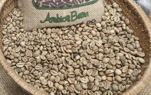 Giá cà phê hôm nay 10-12: Cắt mạch giảm sau 6 phiên