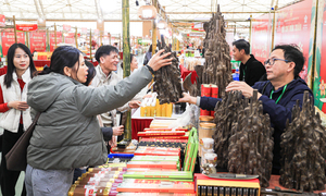 Vừa mở cửa, Hội chợ Mùa Xuân hút hàng nghìn lượt khách