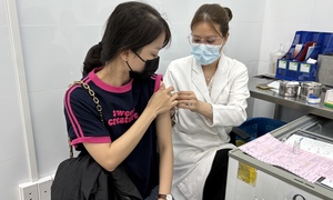 Người dân đi tiêm vaccine phòng bệnh dại tăng vọt sau Tết