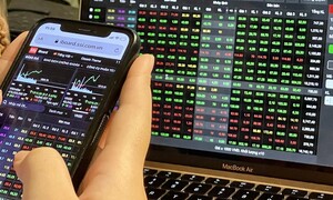 Chứng khoán hôm nay dự báo tiếp tục hồi phục, nhà đầu tư nên làm gì?