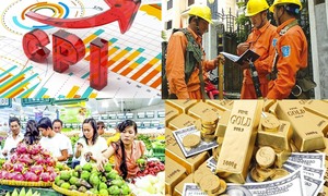 Chủ tịch CCV Group lừa hơn 1.000 tỷ đồng đổ vào dự án rau má bằng cách nào?