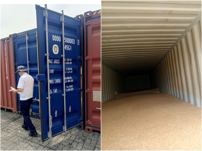 Doanh nghiệp khởi kiện Chi cục Hải quan khu vực III, yêu cầu bồi thường hơn 3,3 tỉ đồng