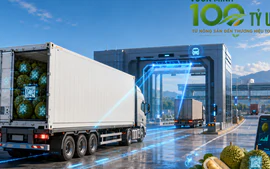 Một thay đổi ở biên giới Việt - Trung có thể quyết định tương lai hàng chục tỷ USD nông sản Việt